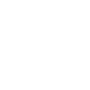 SEO Audit Icon